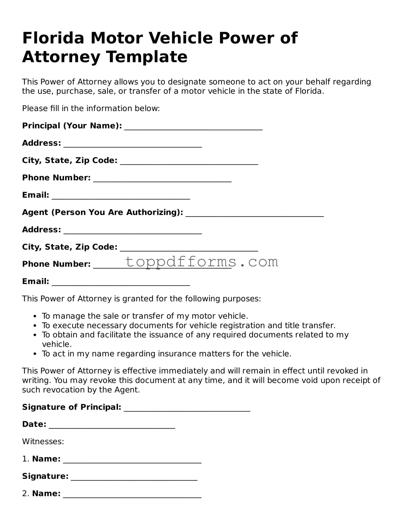 Motor Vehicle Power of Attorney Document for Florida State