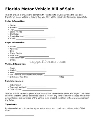 Motor Vehicle Bill of Sale Document for Florida State