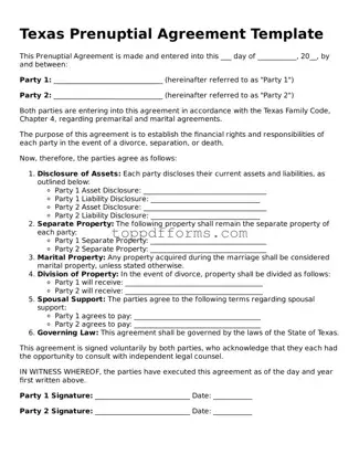 Prenuptial Agreement Document for Texas State